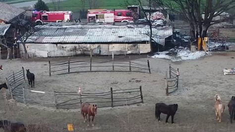 Parco dello Stirone: dopo il fuoco, l’acqua