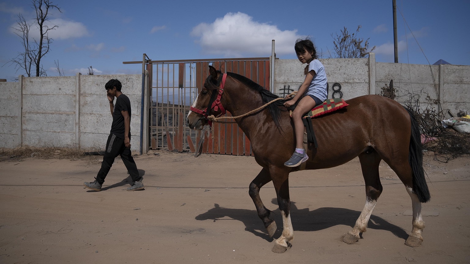 Valparaiso: con un cavallo così bravo il mondo fa meno paura