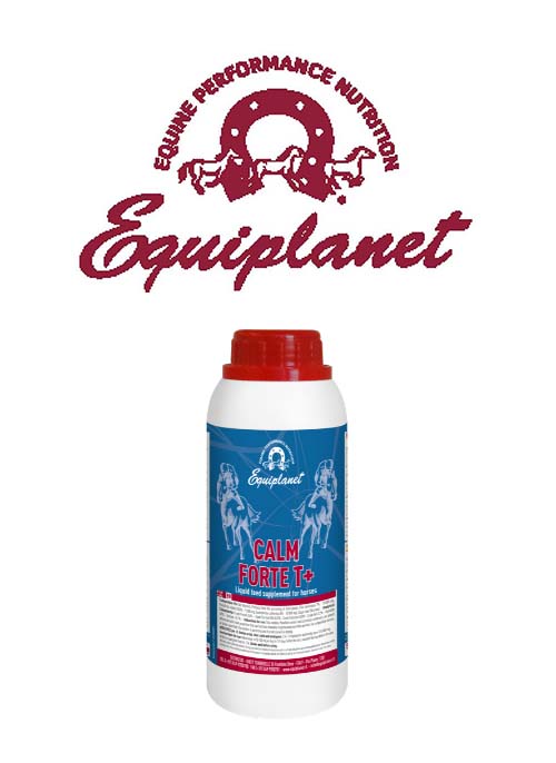 Calm Forte T 500 ml