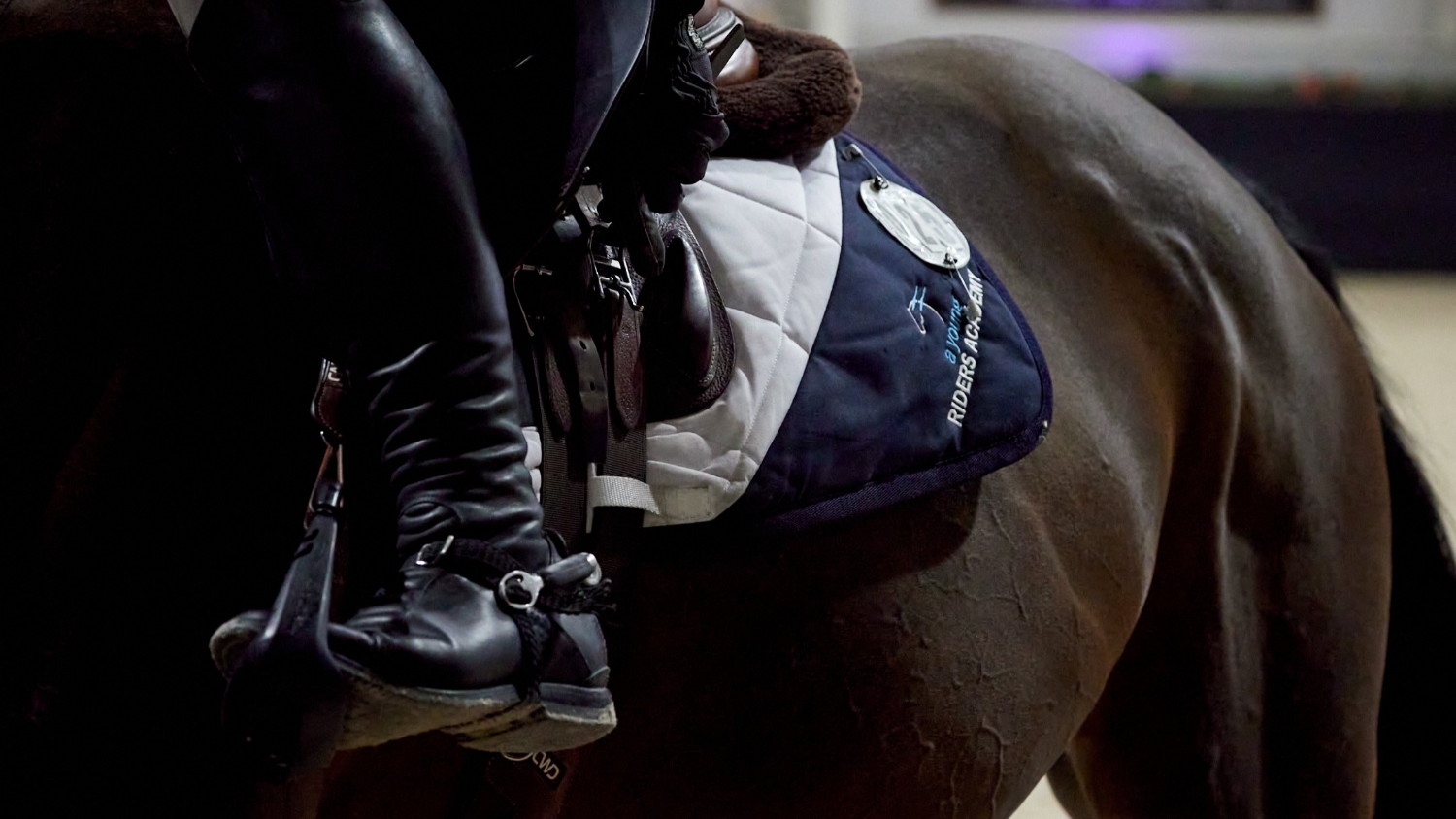 Young Riders Academy: decimo anno!