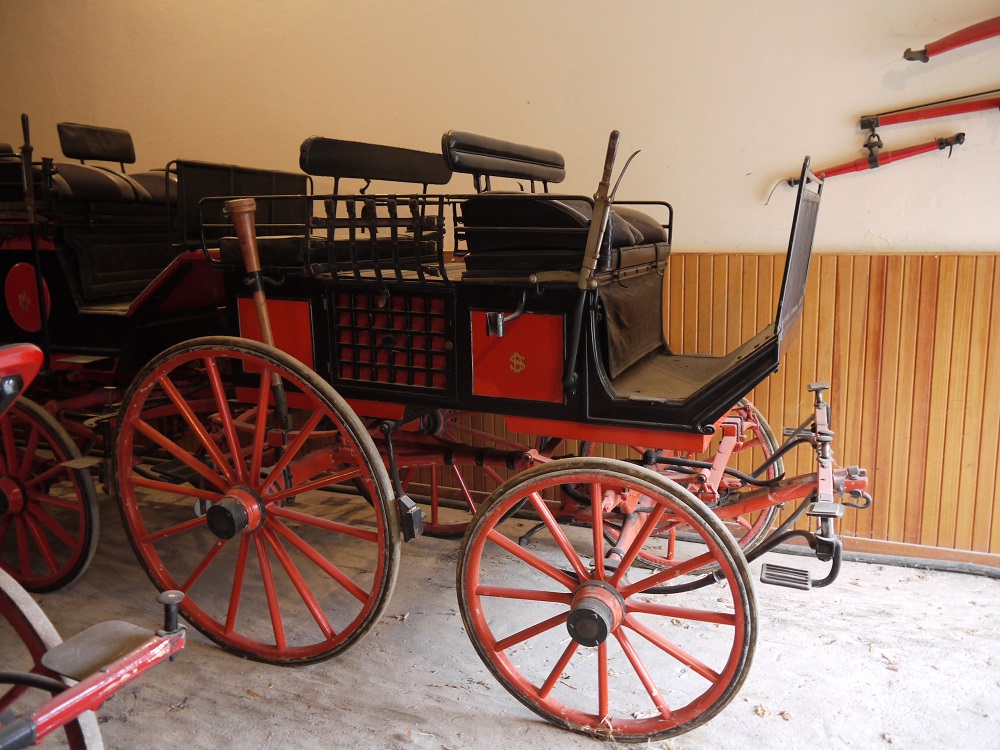 dog cart ferrara