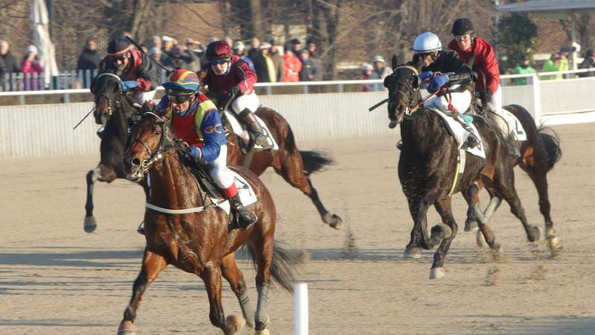 I fantini in sella…anche al trotto