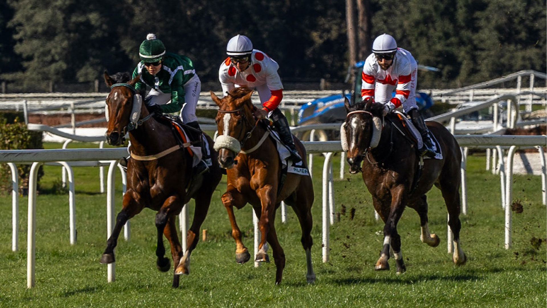 Giovedì a Pisa la TQQ