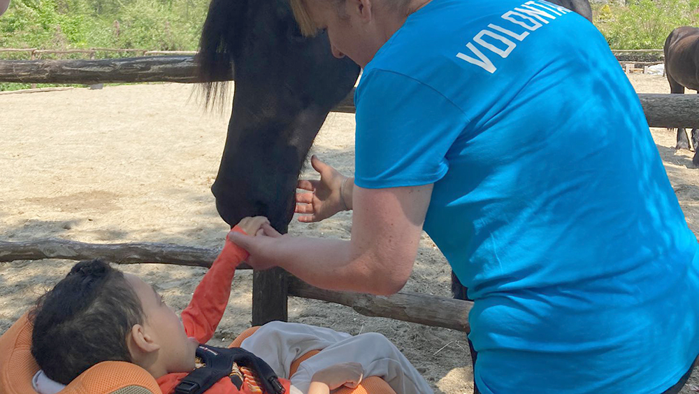 Cavallo Amico: grande festa a Verbania