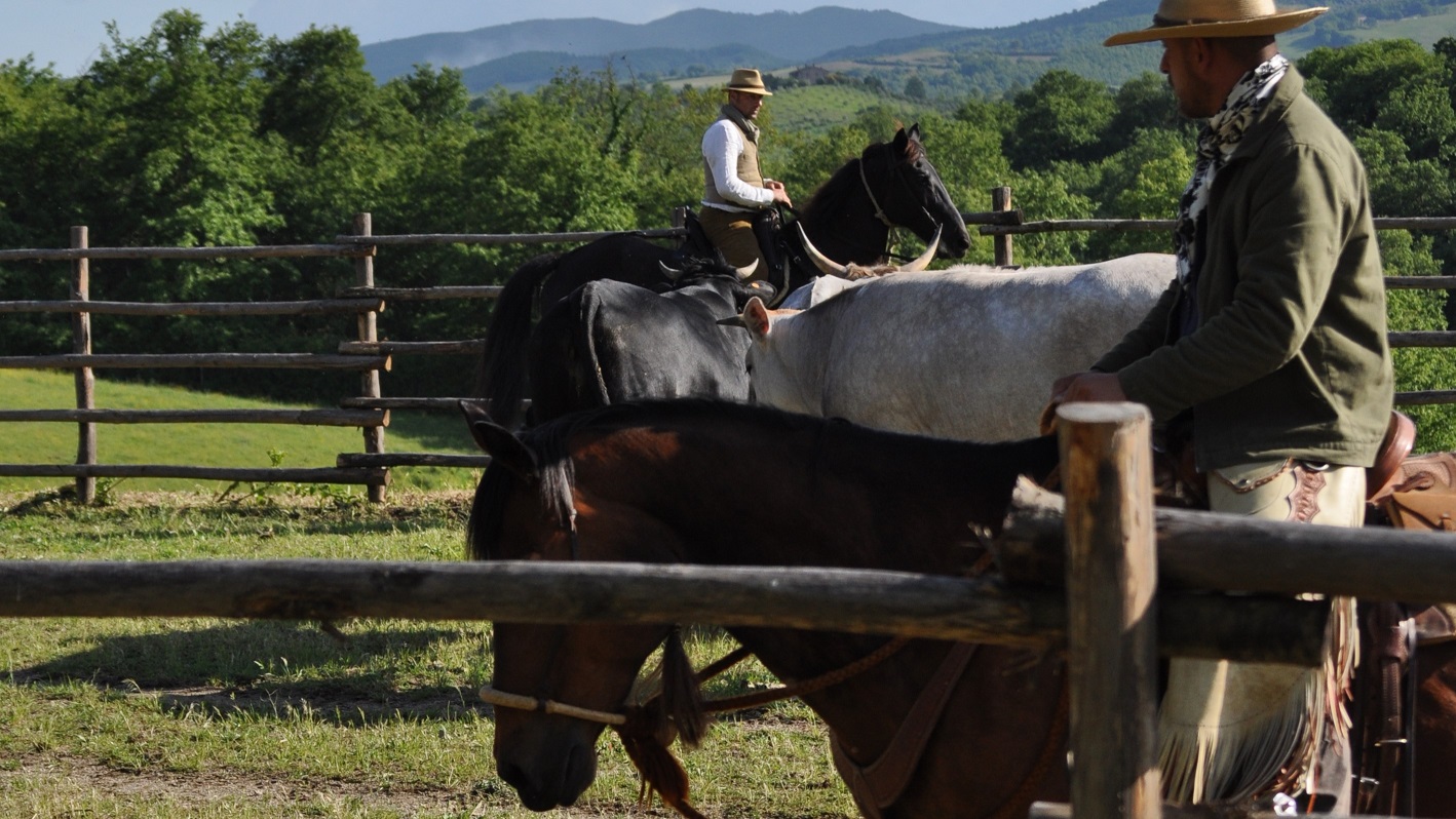 Umbria: l’Accademia della Briglia debutta con lo stage di Ranch Academy