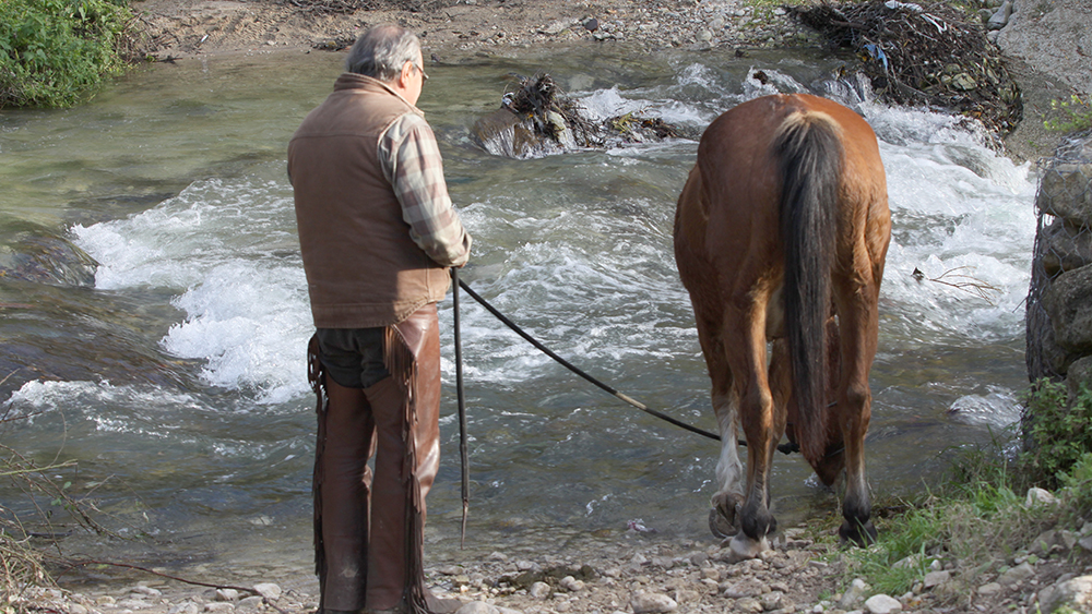 Il mio sogno per un’equitazione più equa