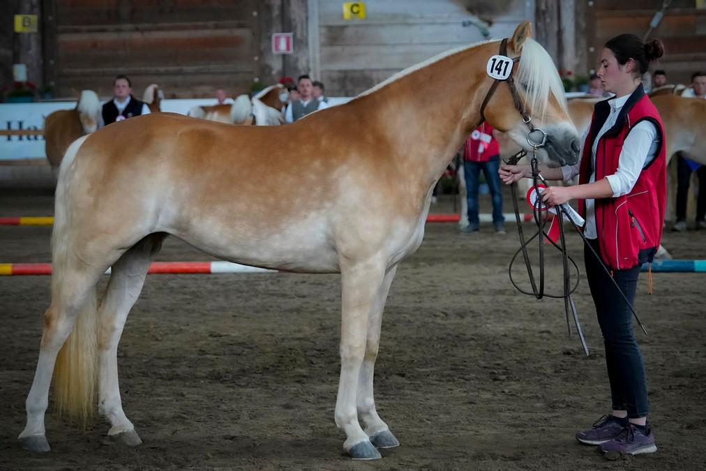 La n° 141 Edle premiata per la testa più bella