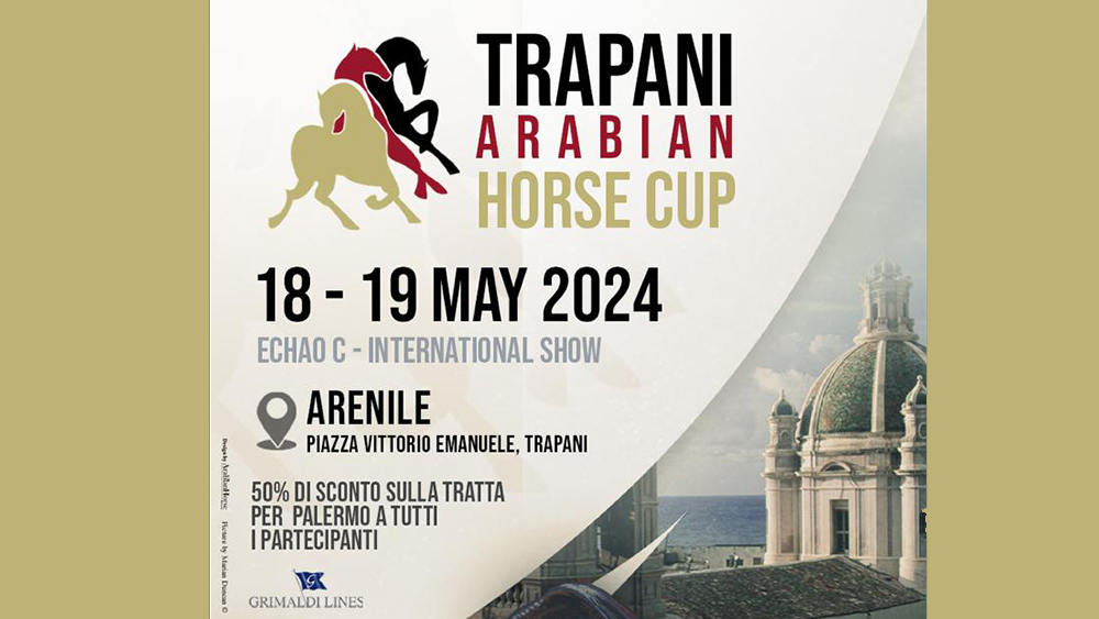 Trapani Arabian Horse Cup