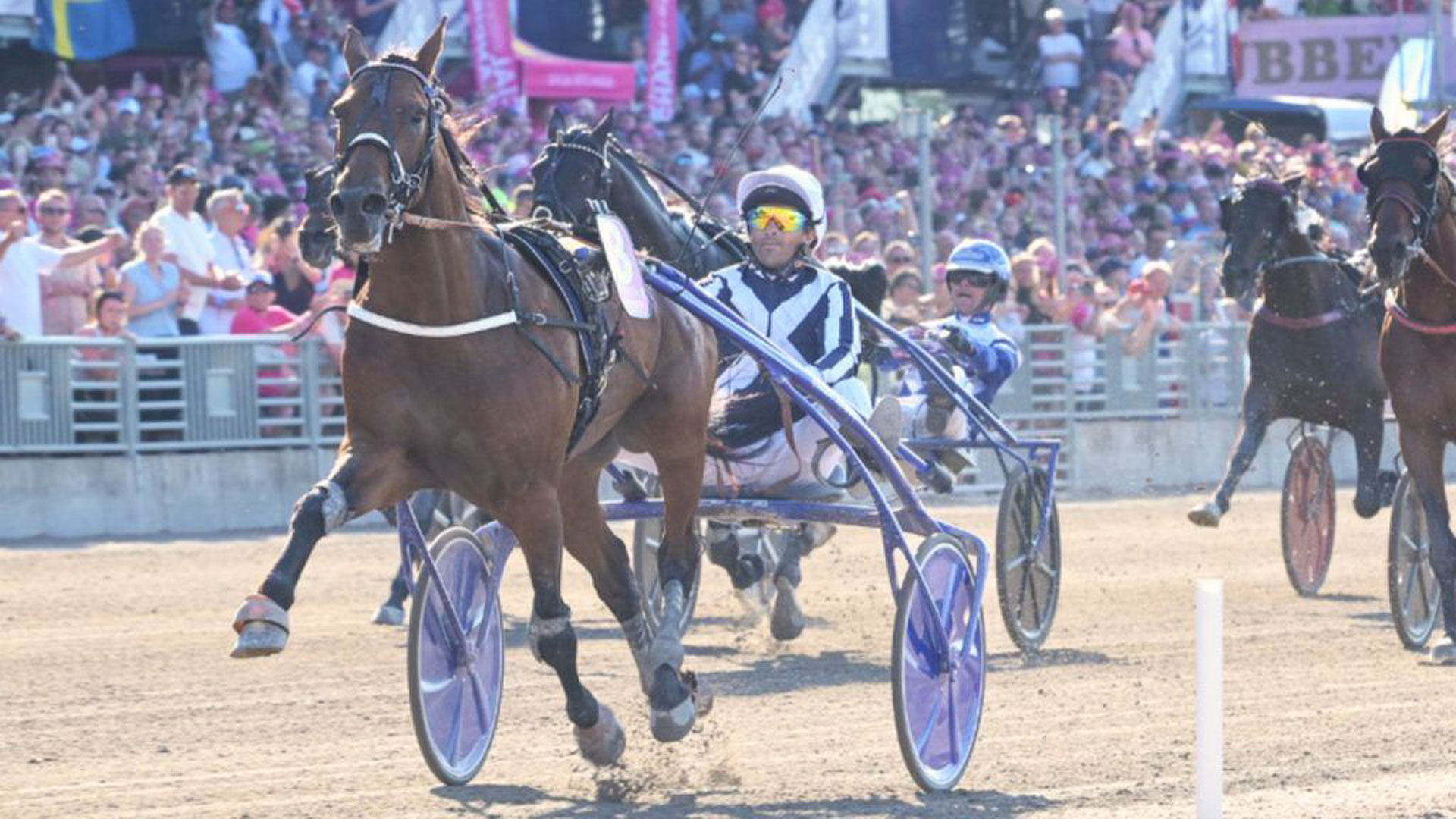 Un Horsy Dream da sogno nell’Elitloppet