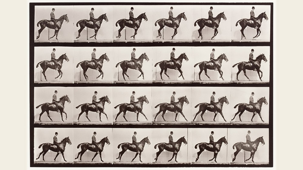 Arte, scienza, fotografia e… il cavallo di Muybridge