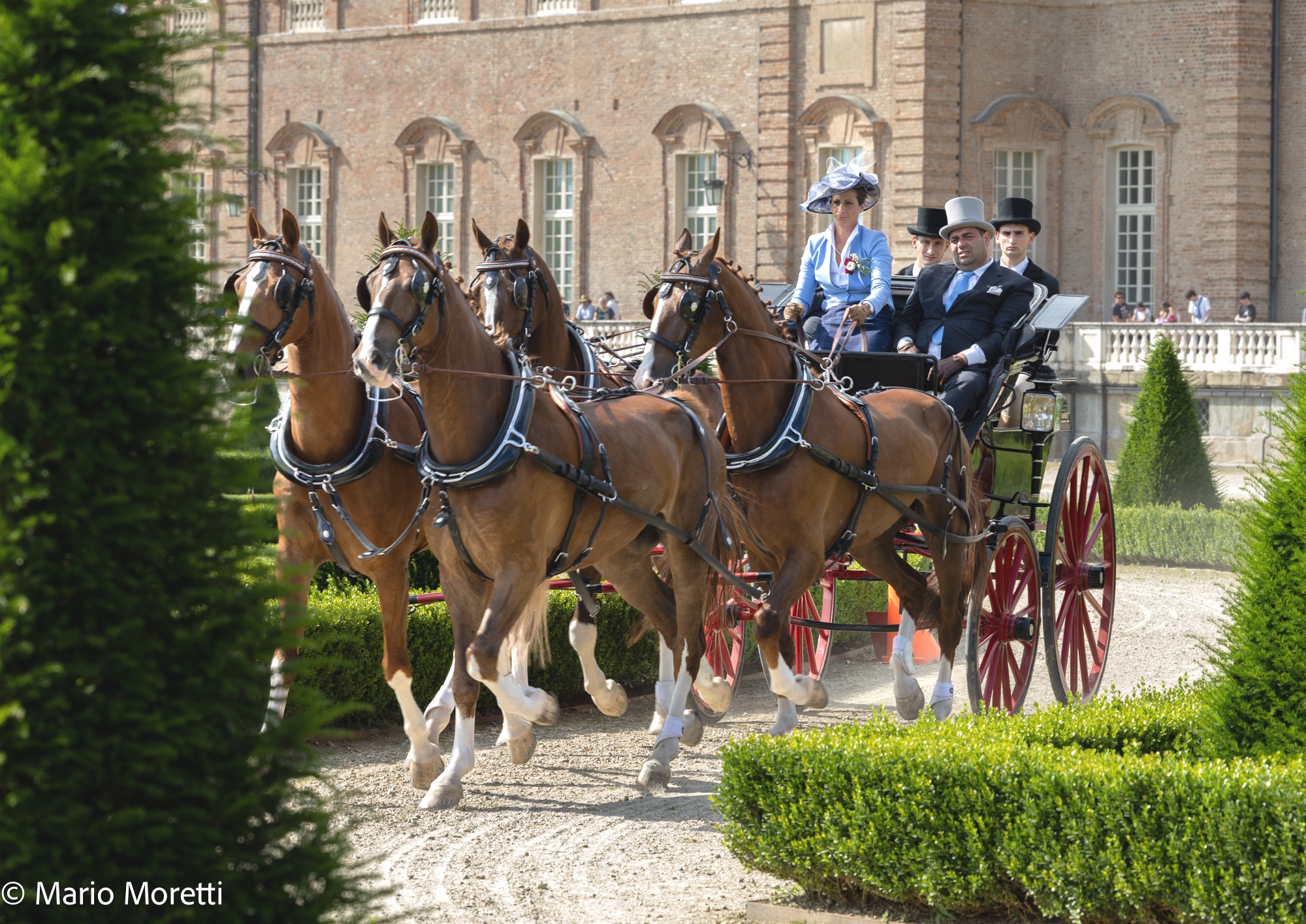 Venaria 2024 70