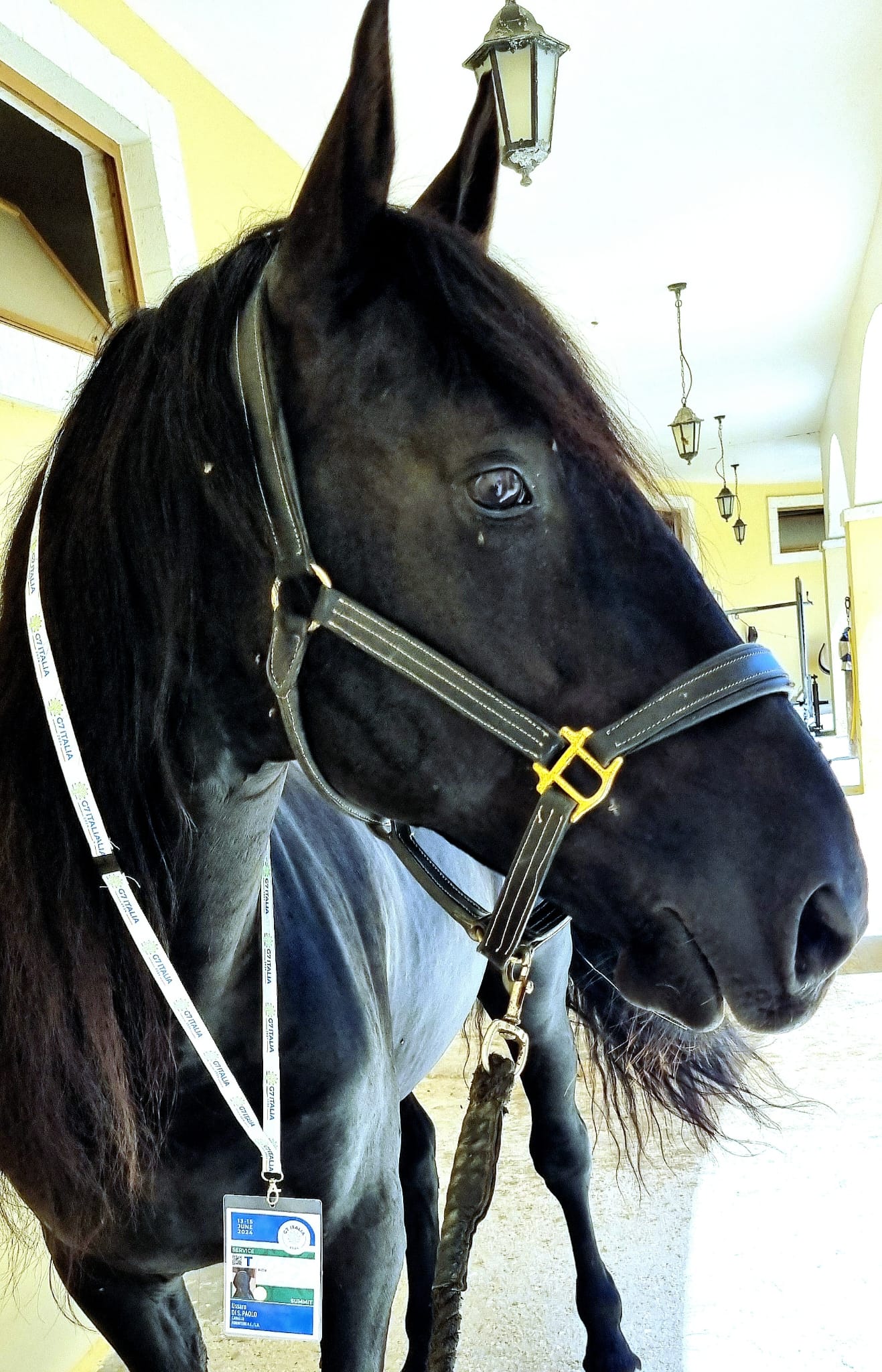 WhatsApp Image 2024 06 19 at 08.52.50