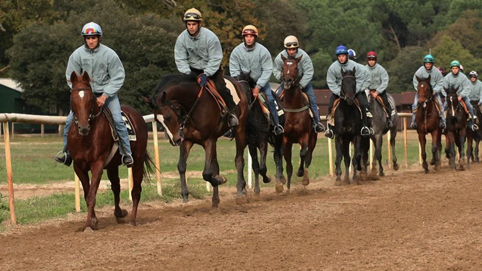 A San Rossore corso per addetti a cura, preparazione e allenamento del cavallo
