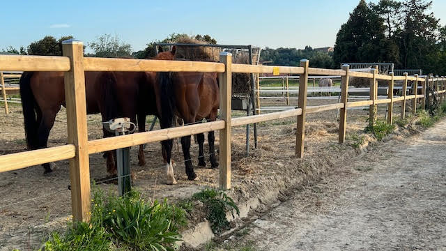Badi Farm, tante recinzioni differenti: quale scegliere?
