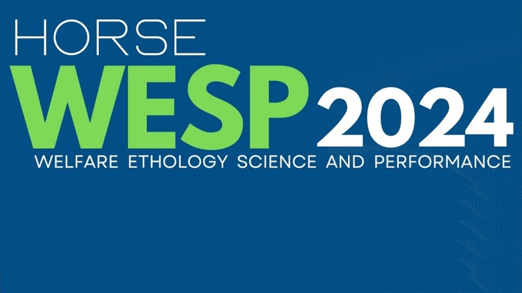 Horse Wesp: insieme per i cavalli