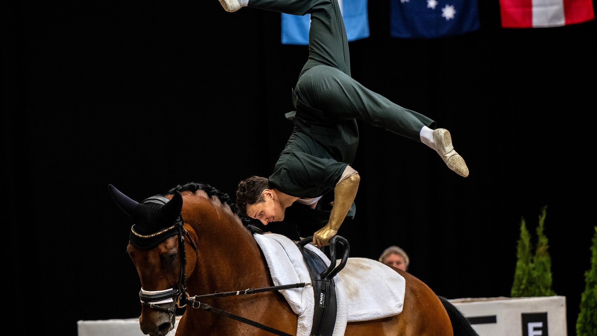 Gardies con Sir Sensation riporta il titolo mondiale senior in Francia