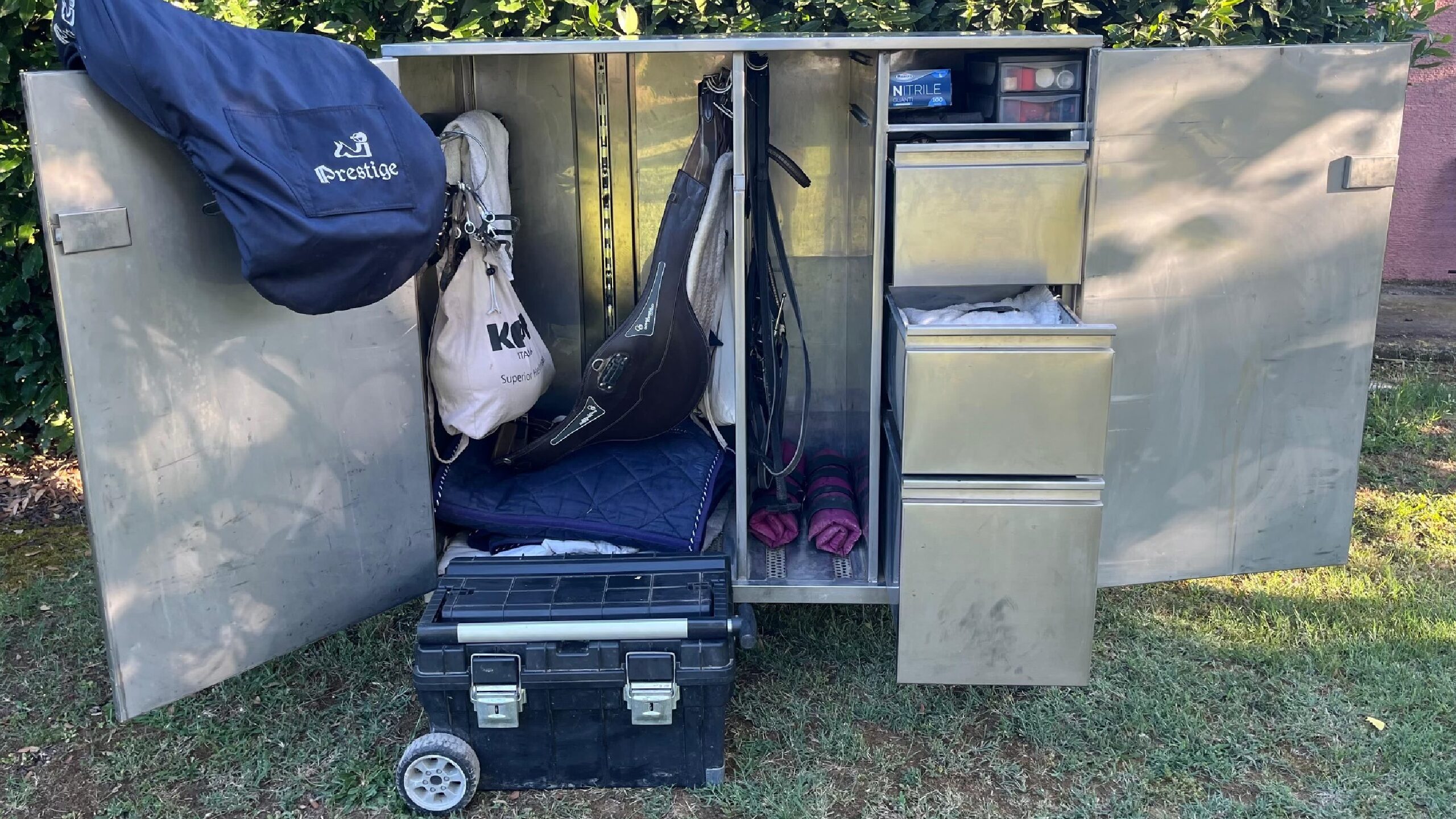 In vacanza con grooming kit e cassone