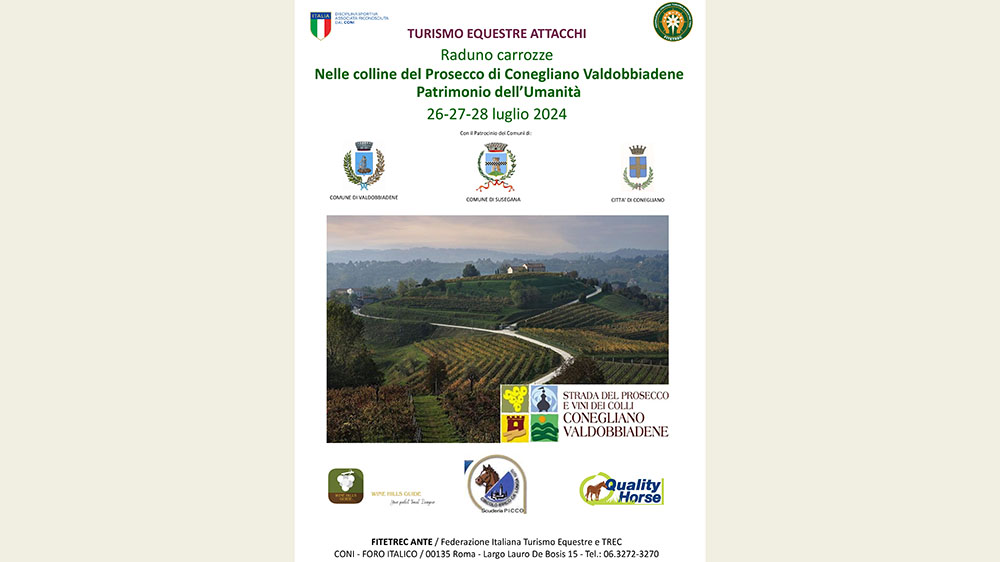Le colline del Valdobbiadene a redini lunghe