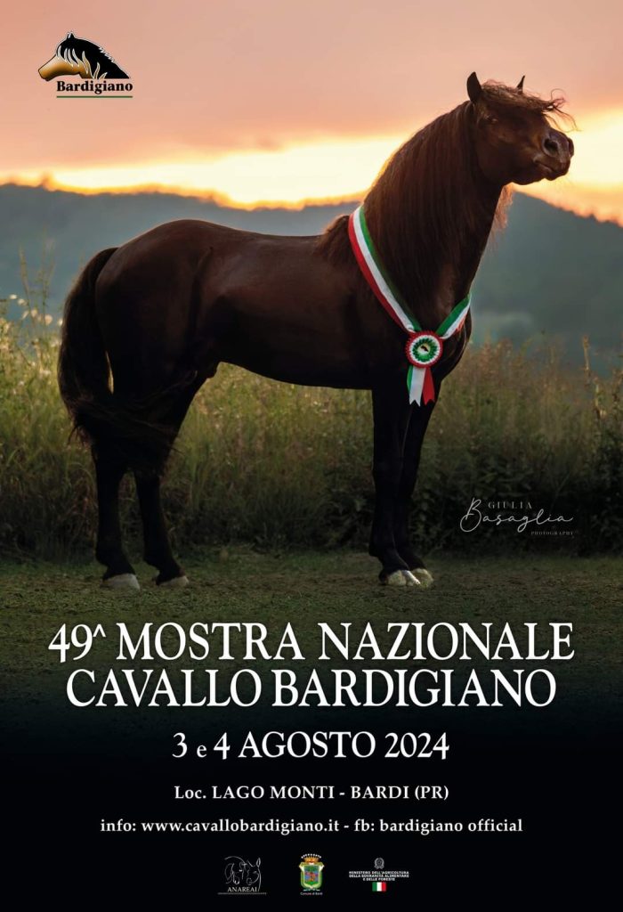 WhatsApp Image 2024 07 29 at 12.17.08 700x1024