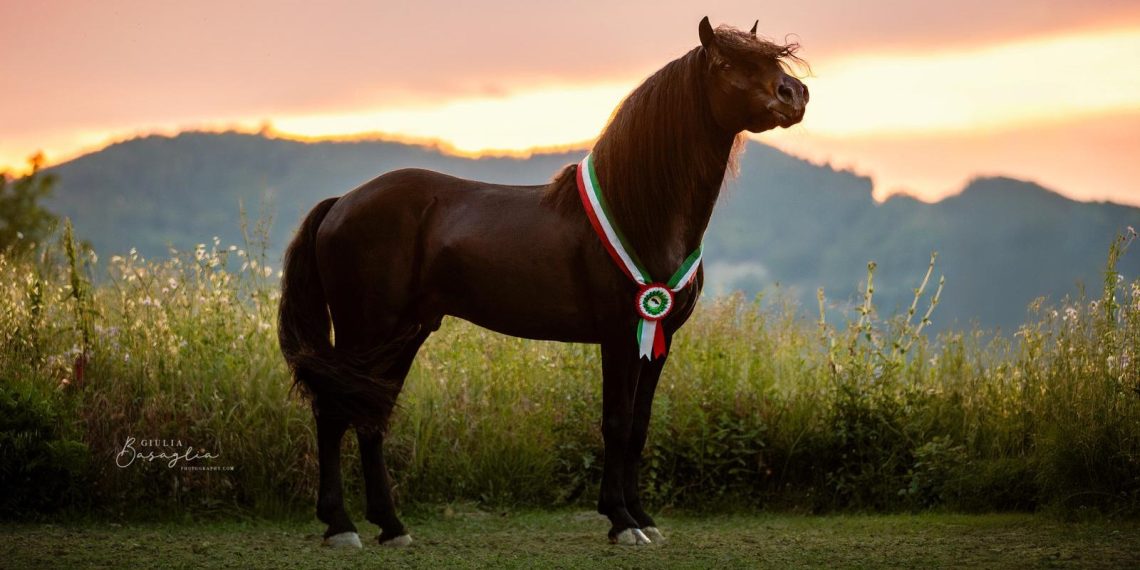 49 volte Bardigiano: a Lago Monti è la sua festa