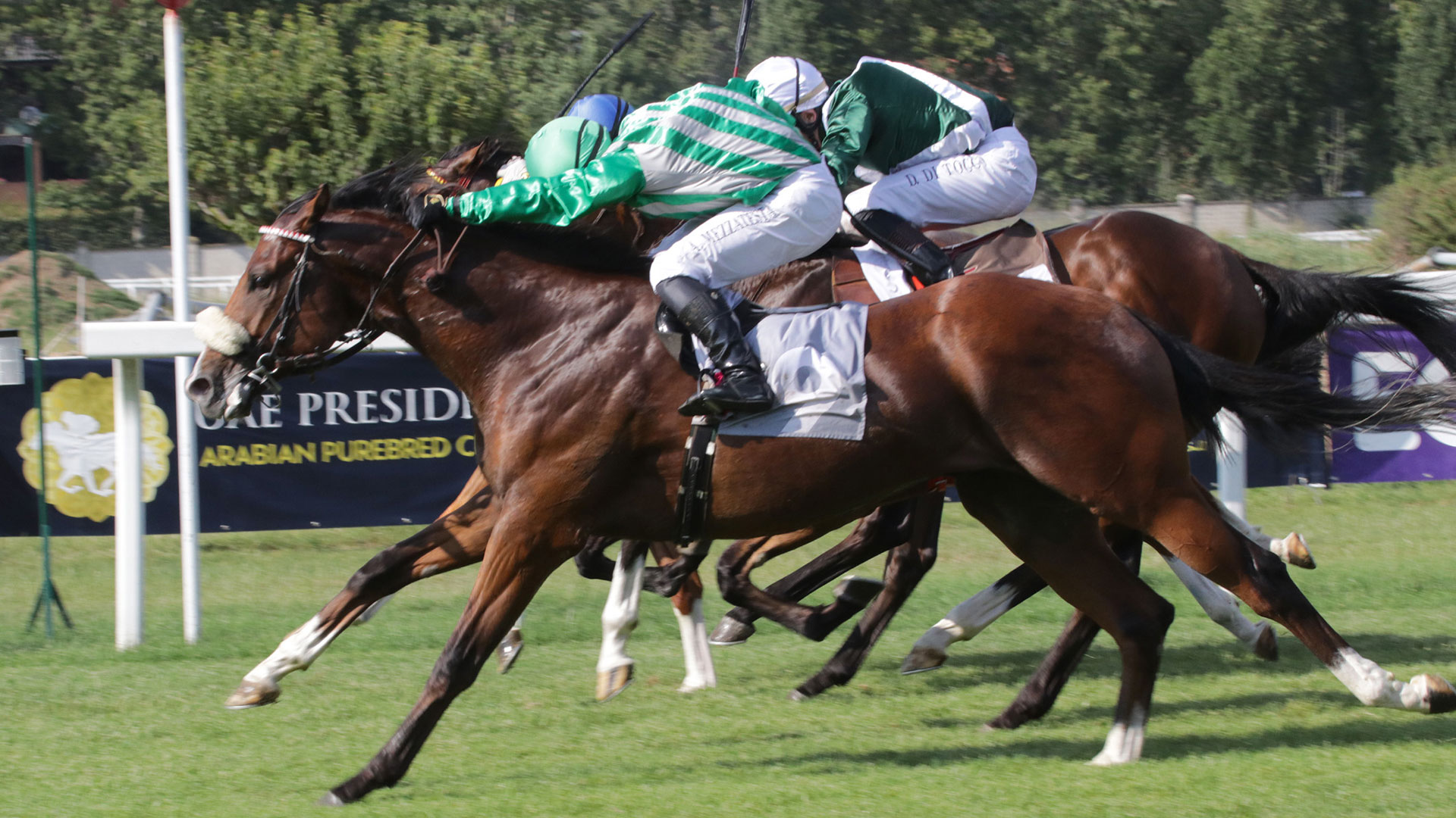 Milano galoppo: chiusura in grande stile
