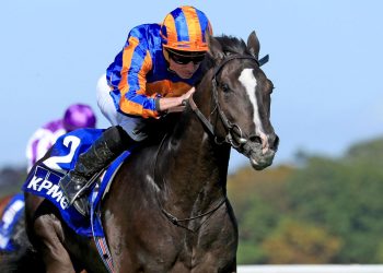 Ascot: lo spettacolo delle King George