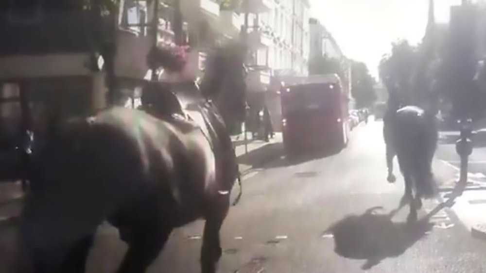 Ancora cavalli in fuga a Londra