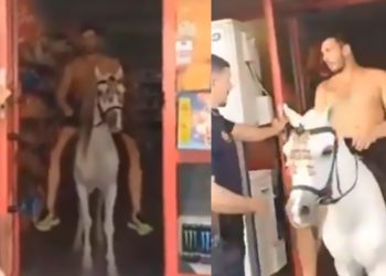 Cavallo virale in Spagna