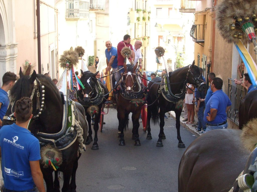 IMG 20240802 WA0023 1024x768