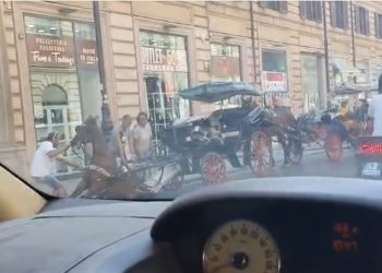 Il cavallo caduto a terra stamattina a Palermo, da una pagina social