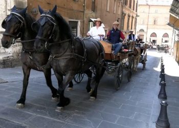 Città di Castello: un messaggio di inclusione