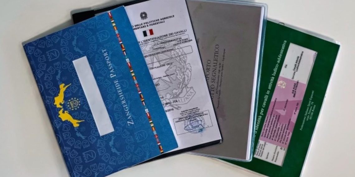 Dalla nascita al passaporto, ecco l’iter da fare per il puledro