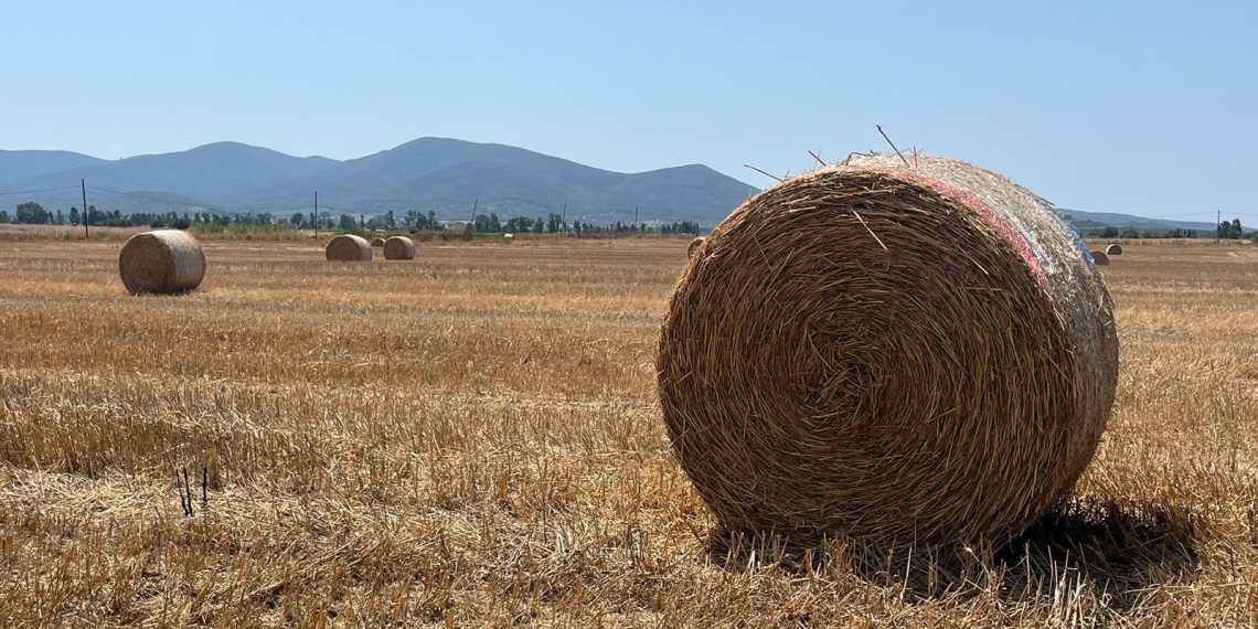 Dalla semina alla rotoballa, com’è dura mettere fieno in cascina
