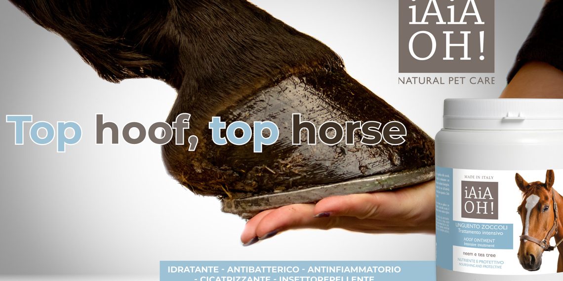 Gli zoccoli del tuo cavallo meritano un trattamento al top!