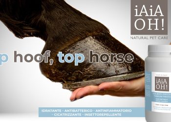 Gli zoccoli del tuo cavallo meritano un trattamento al top!