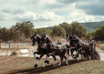 Four-in-Hand: ritorno mondiale in Ungheria