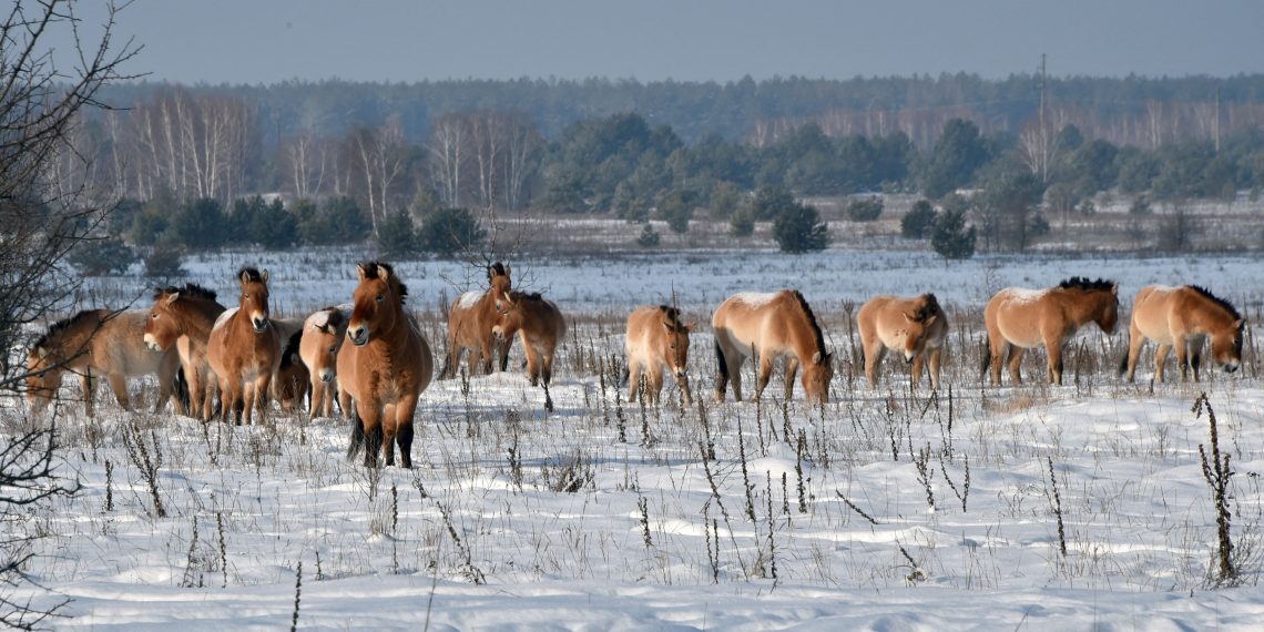 La forza della natura