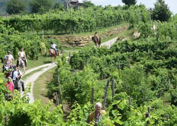 Le bellezze dei parchi a cavallo nelle Dolomiti Bellunesi