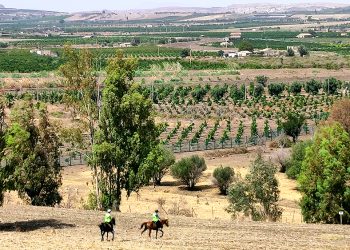L’endurance in Sicilia passa da Ambelia
