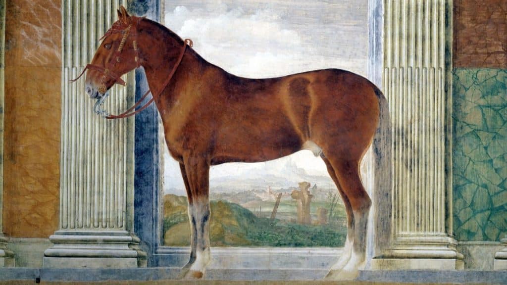 Uno dei celebri cavalli dei Gonzaga, dipinti da Giulio Romano a Palazzo Te