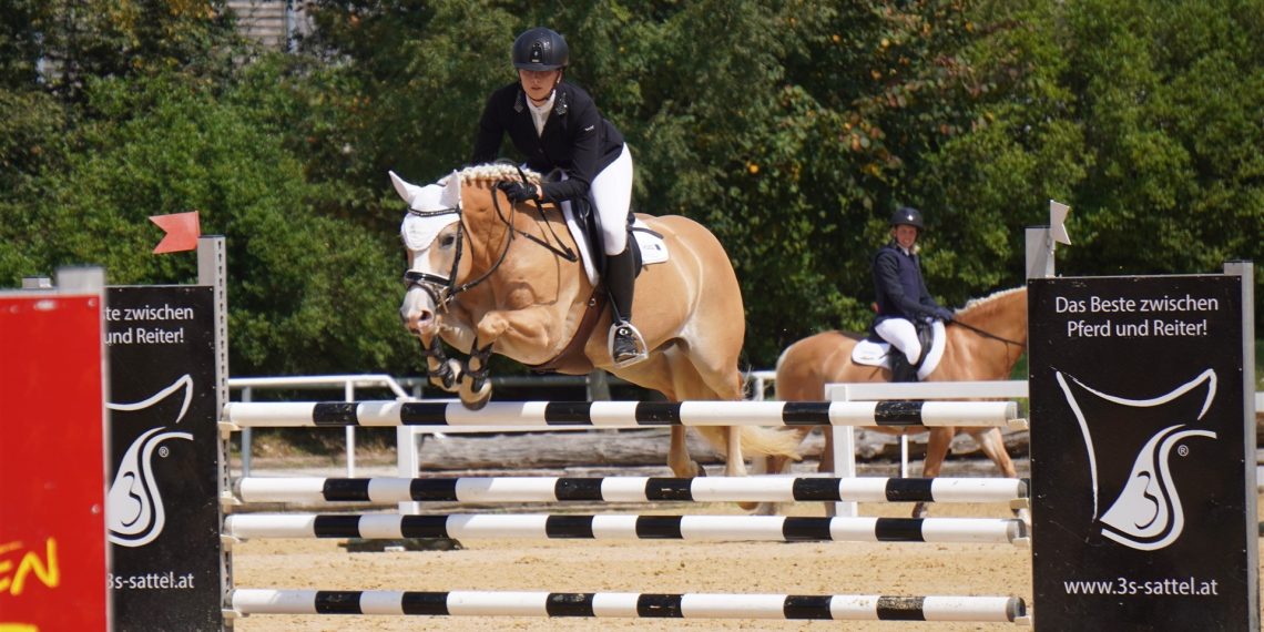 L’Europeo degli Haflinger Azzurri: a tutto sport!