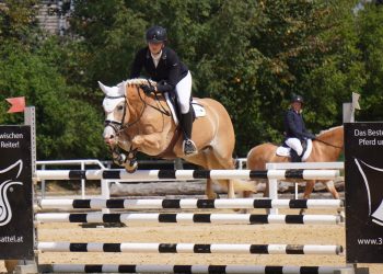 L’Europeo degli Haflinger Azzurri: a tutto sport!