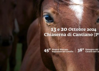Cavalli del Catria: a ottobre torna Cantiano Fiera Cavalli