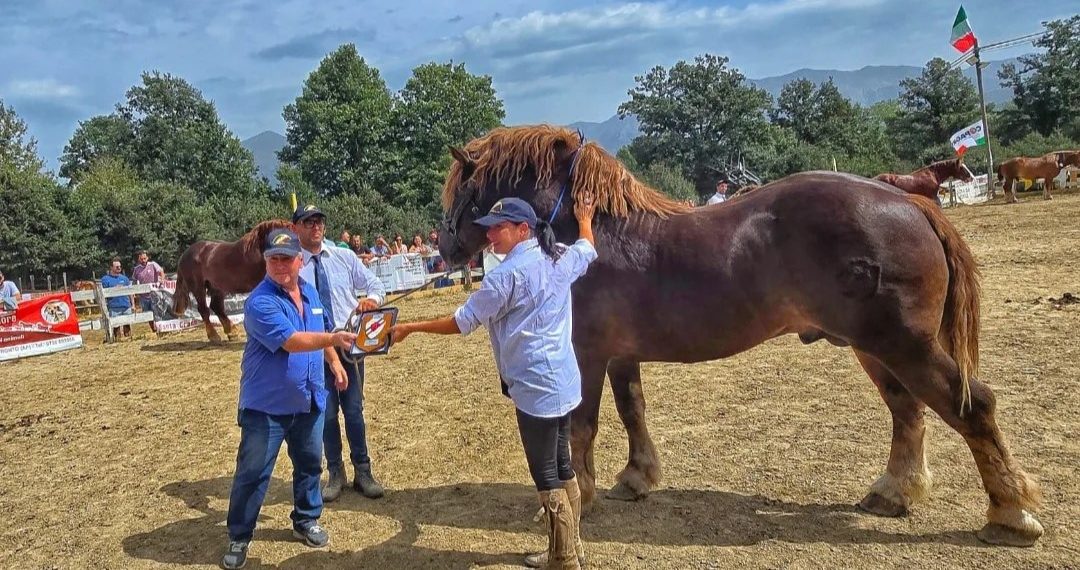 Ad Amatrice i Caitpr sono sempre più belli