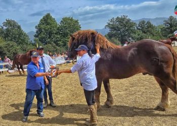 Ad Amatrice i Caitpr sono sempre più belli