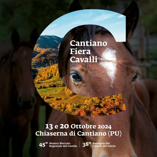 459118158 831988482415944 359525590056733148 n