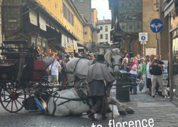 Firenze: la cavalla della pariglia a Firenze è solamente scivolata, e sta bene!