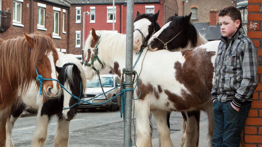 6807344762 bc2d830279 k 1 1 1024x576