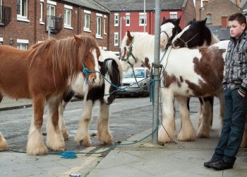 Cavalli, sulky e abitudini: l’Irlanda inverte il corso del tempo