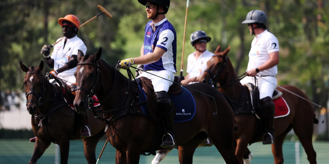 Il ‘Polo’ dei Sussex: un altro pasticcio